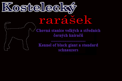 Kosteleck Rarek (chovn stanice ), Kennel of giant and standard schnauzer